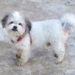 DoinaIrina Profile Picture