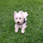 Lala22 profile picture