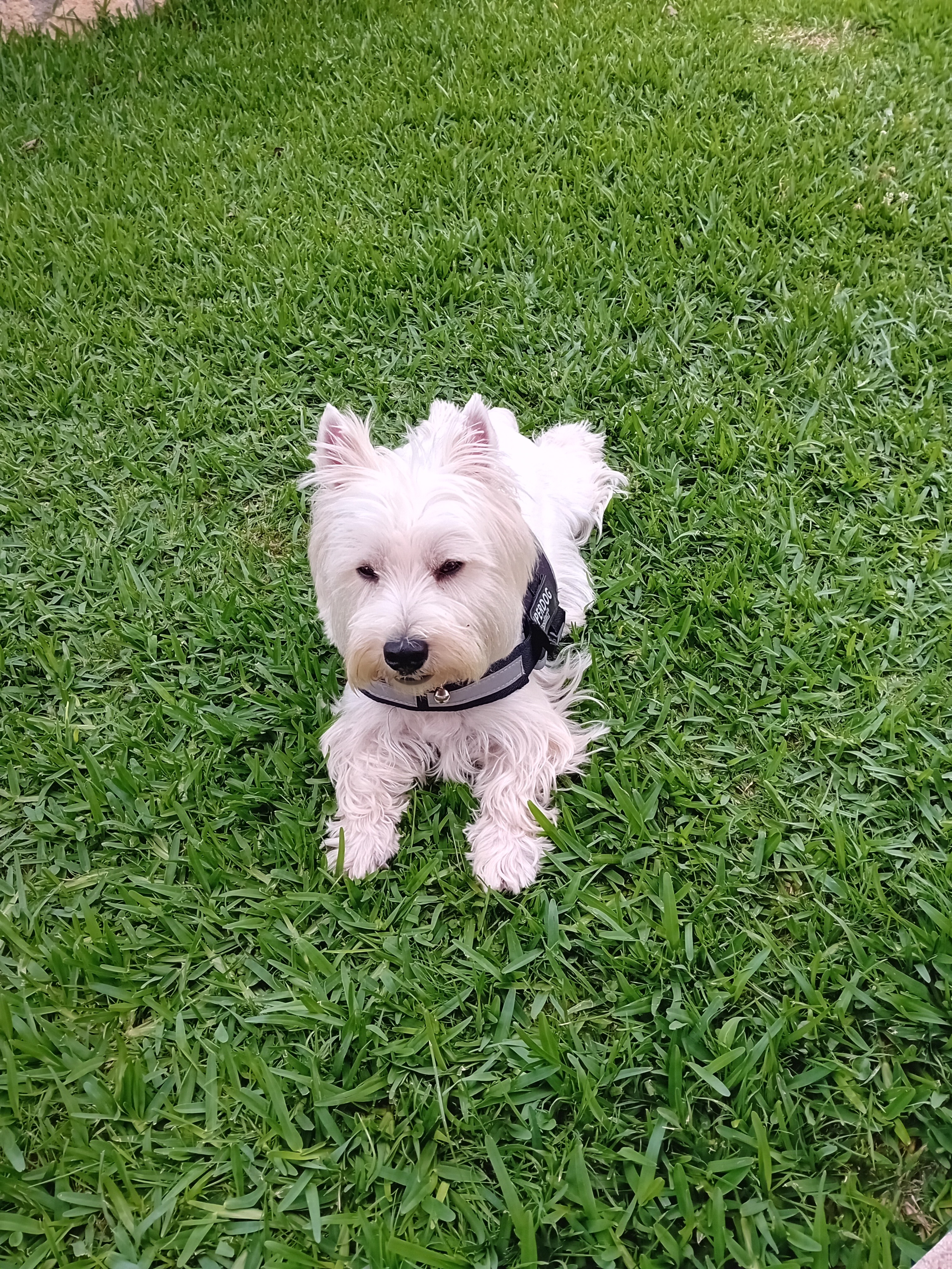 Lala22 Profile Picture