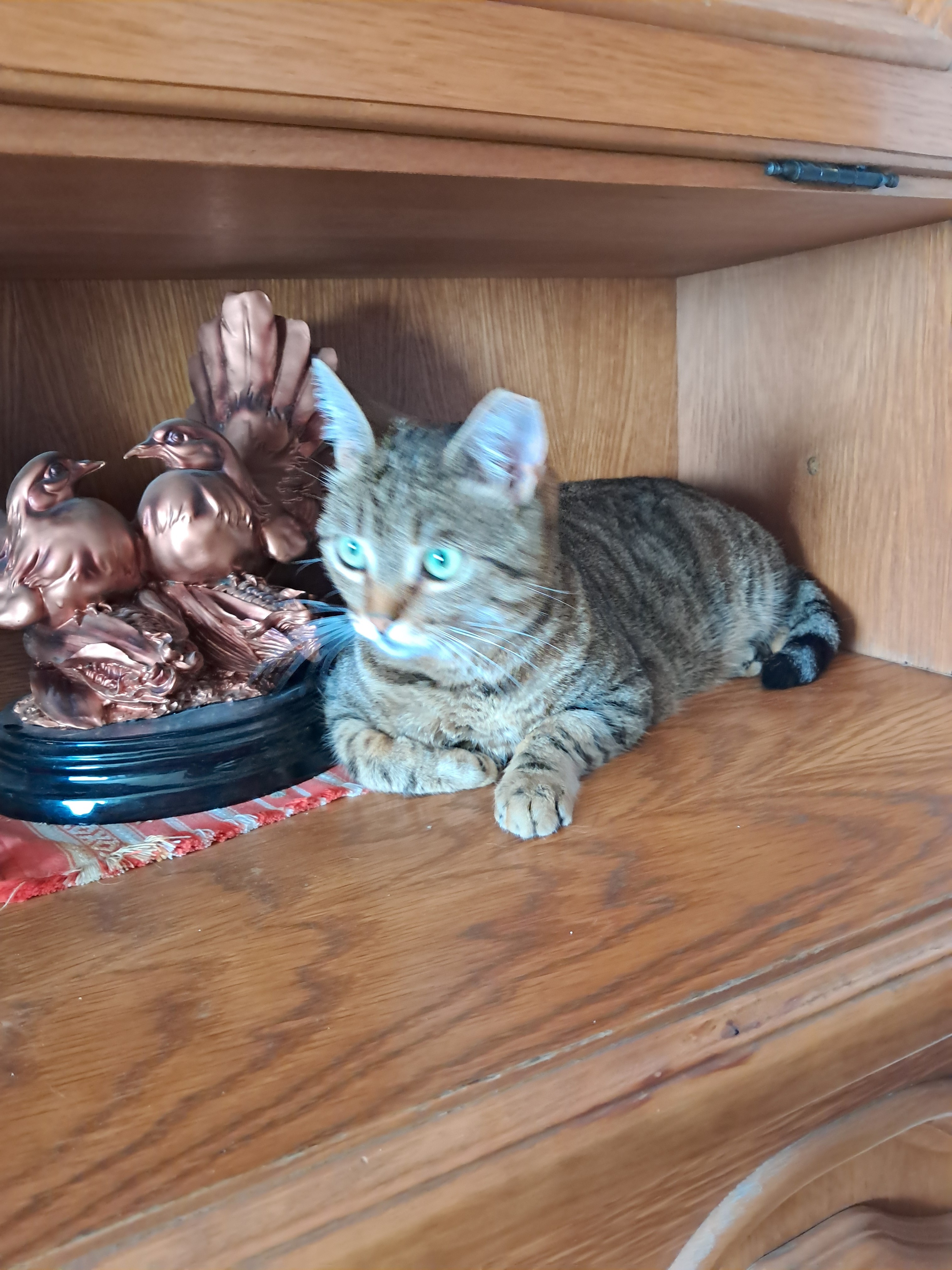 Maria Veris Profile Picture