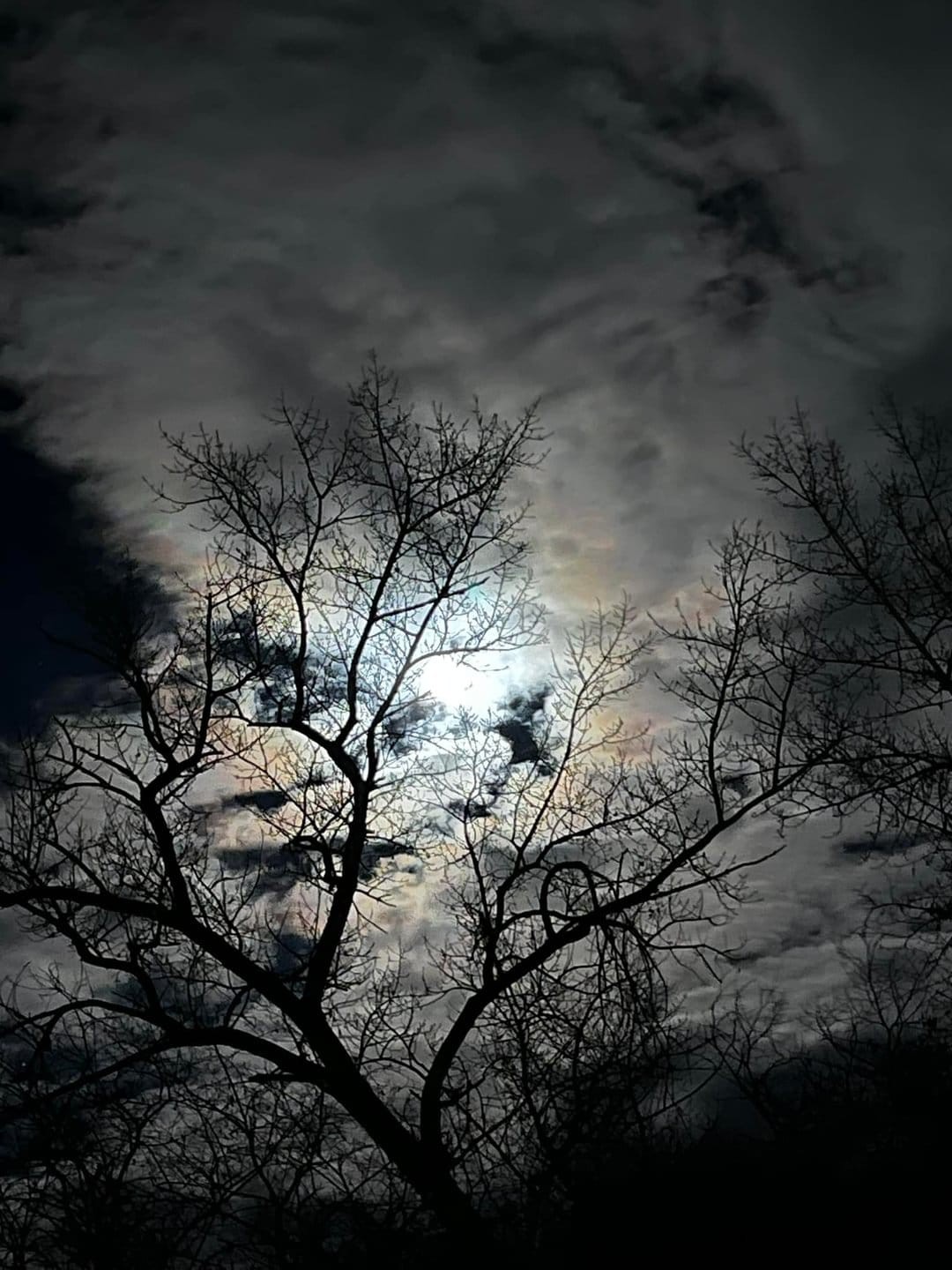 Mikaela Profile Picture