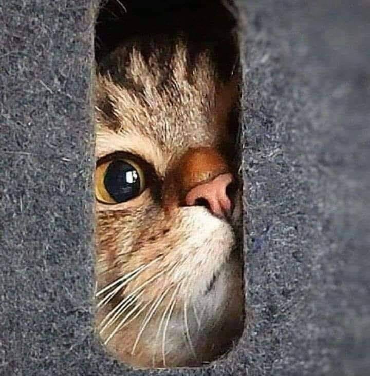 Mady_lorina Profile Picture