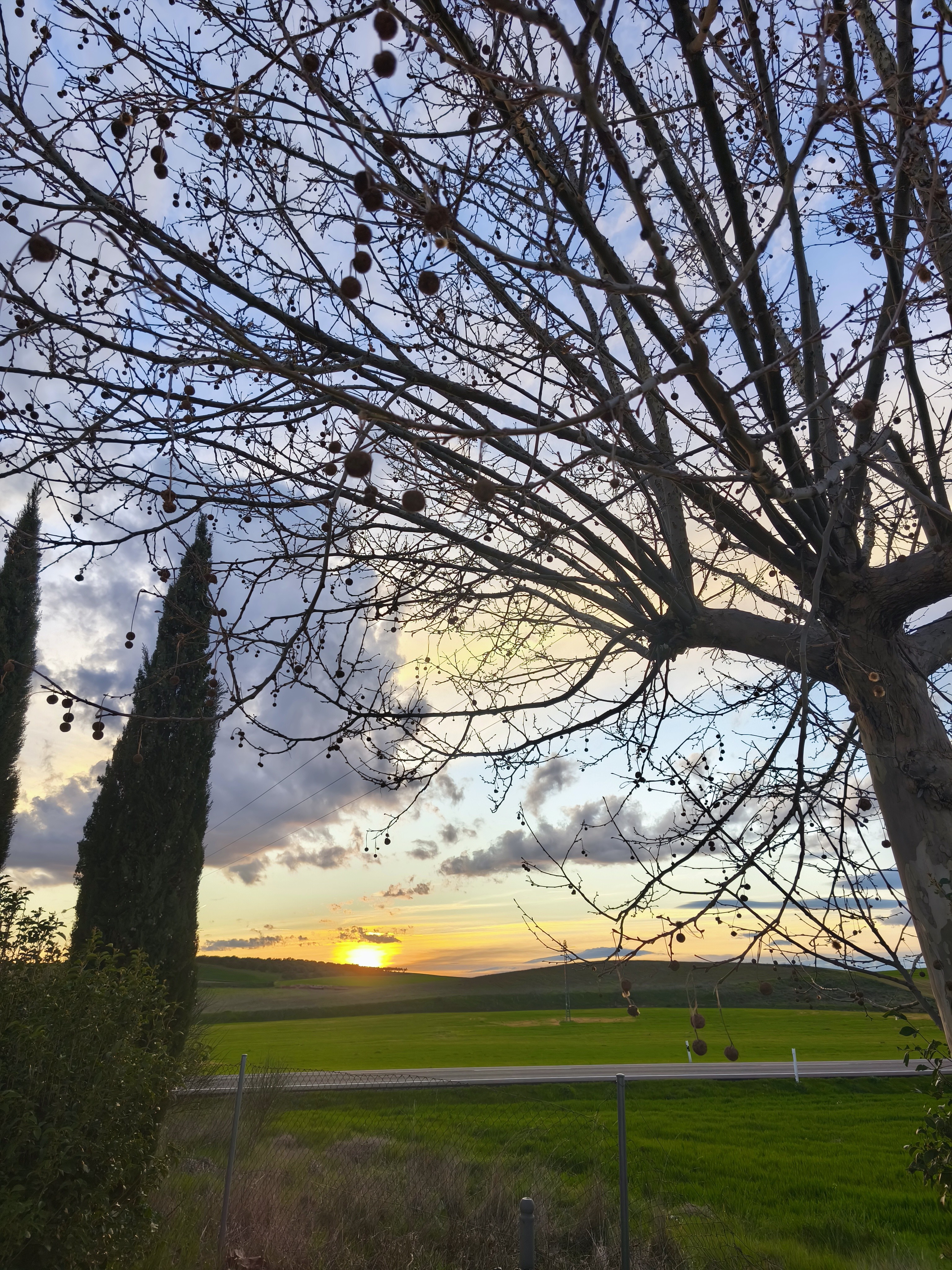 Mihaela Profile Picture