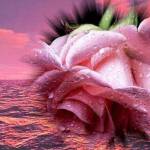 Helena Heleny profile picture