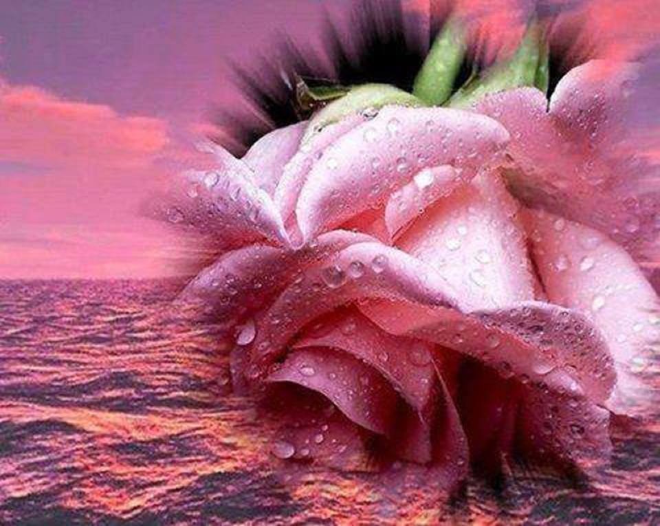 Helena Heleny Profile Picture