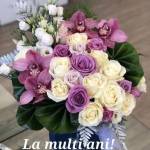 Oanuta profile picture