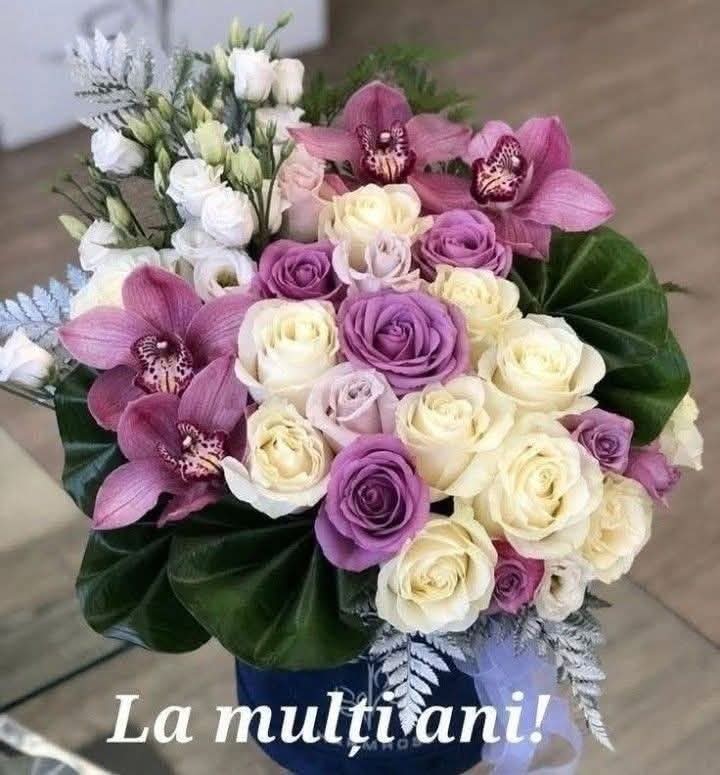 Oanuta Profile Picture