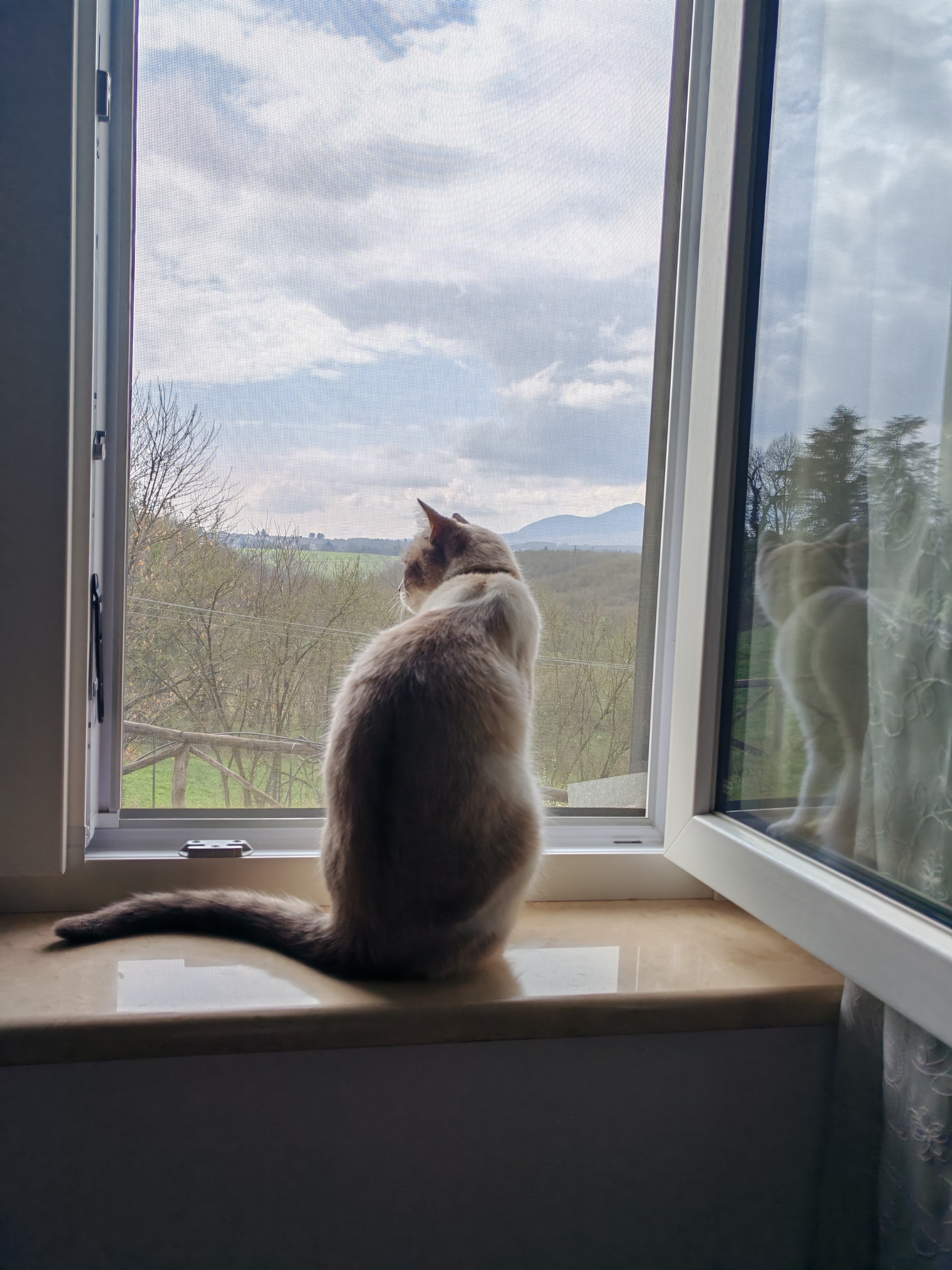 Christa78 Profile Picture