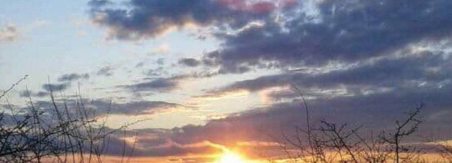 Gabriela Tănase Cover Image