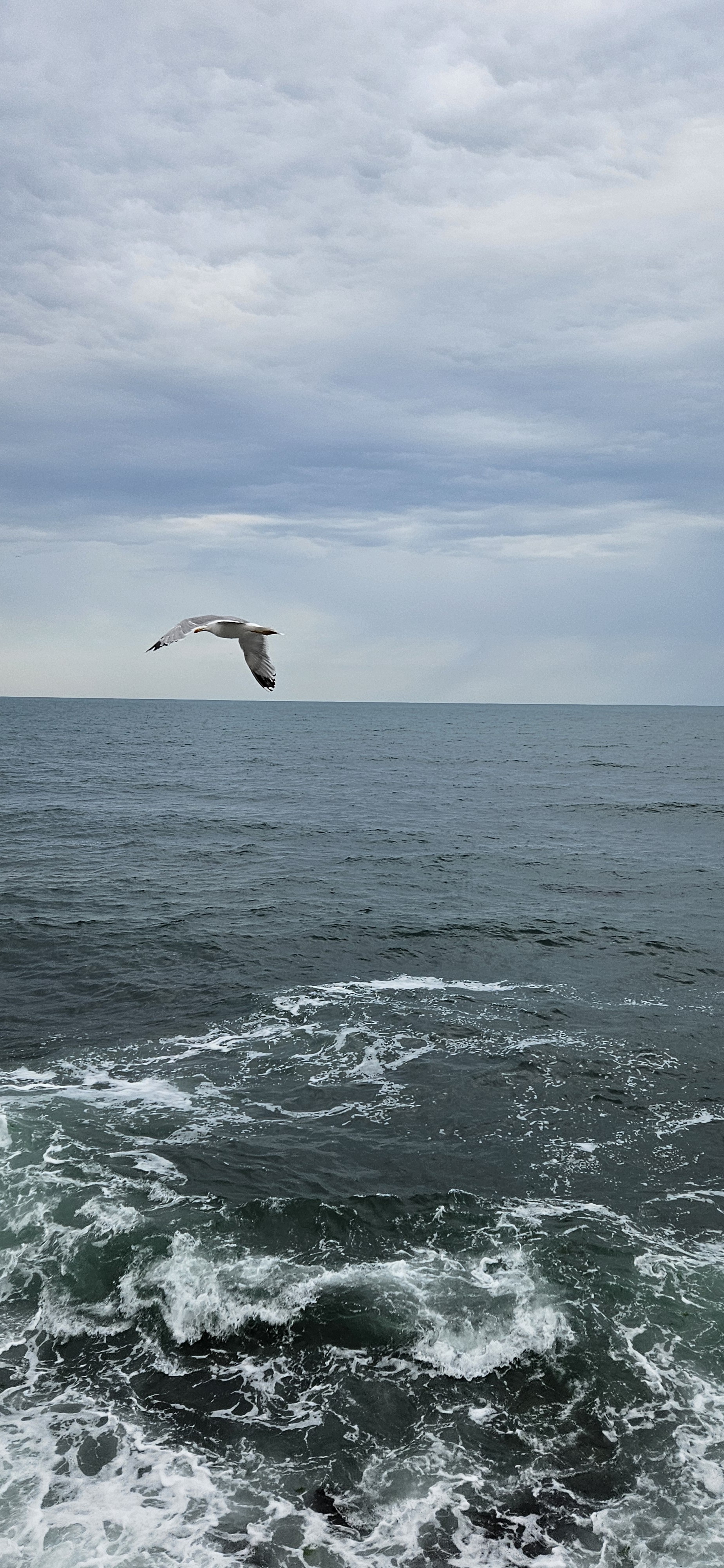 consuelacazacu Profile Picture