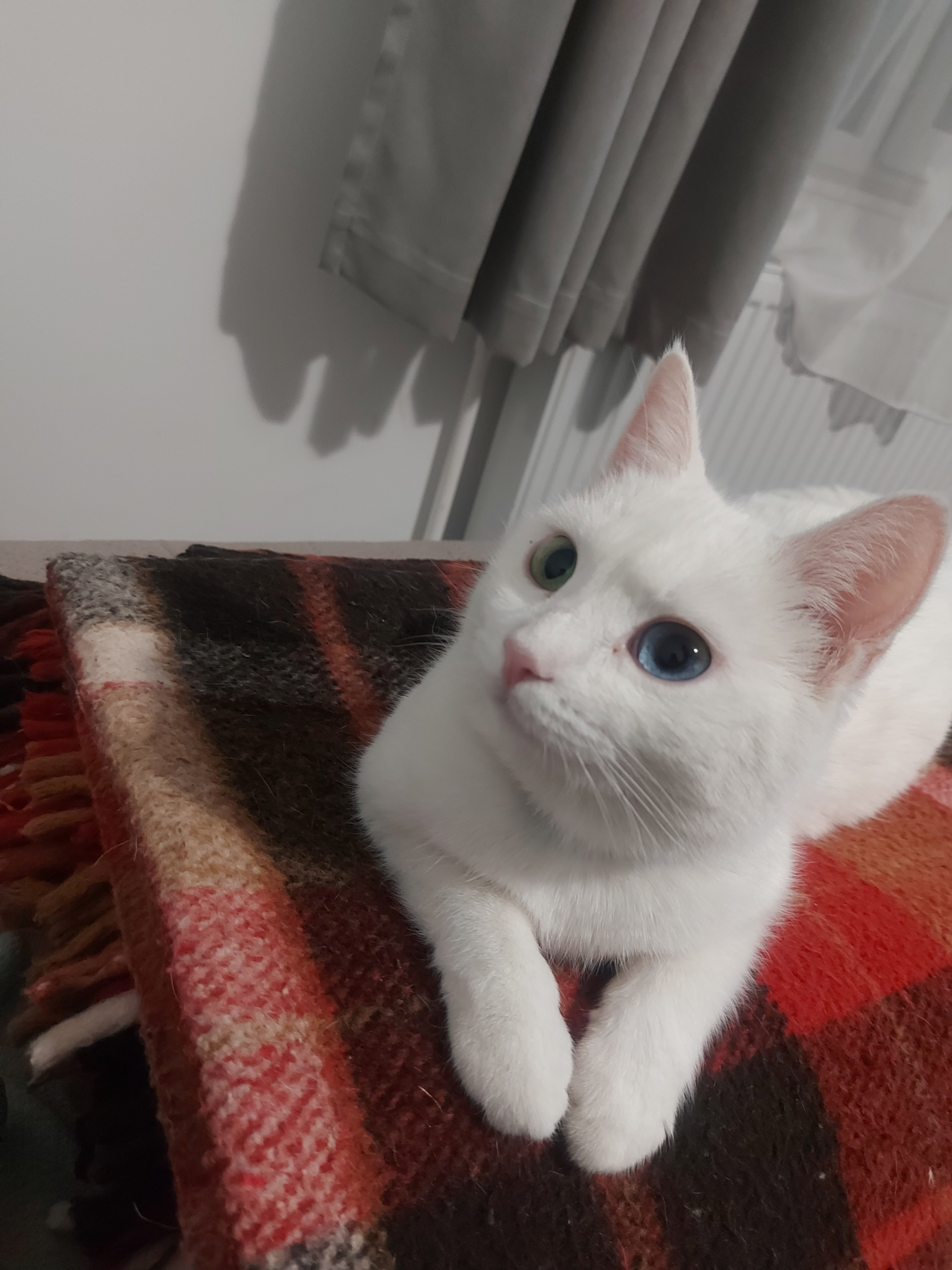 Maryola Profile Picture