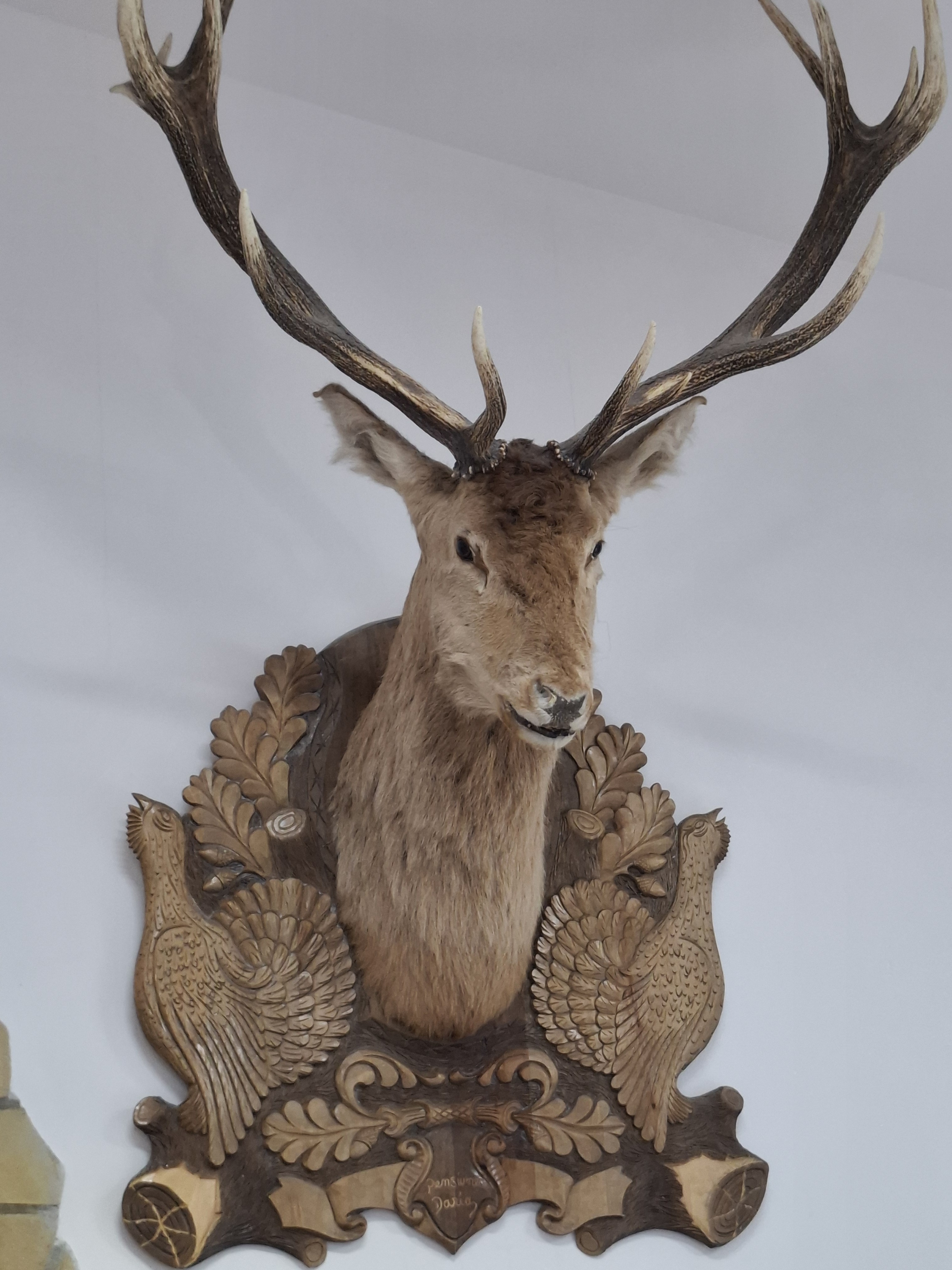 lidia Profile Picture