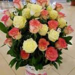 carmen cioarec Profile Picture