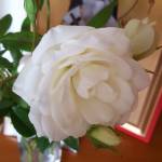 Meryem Profile Picture